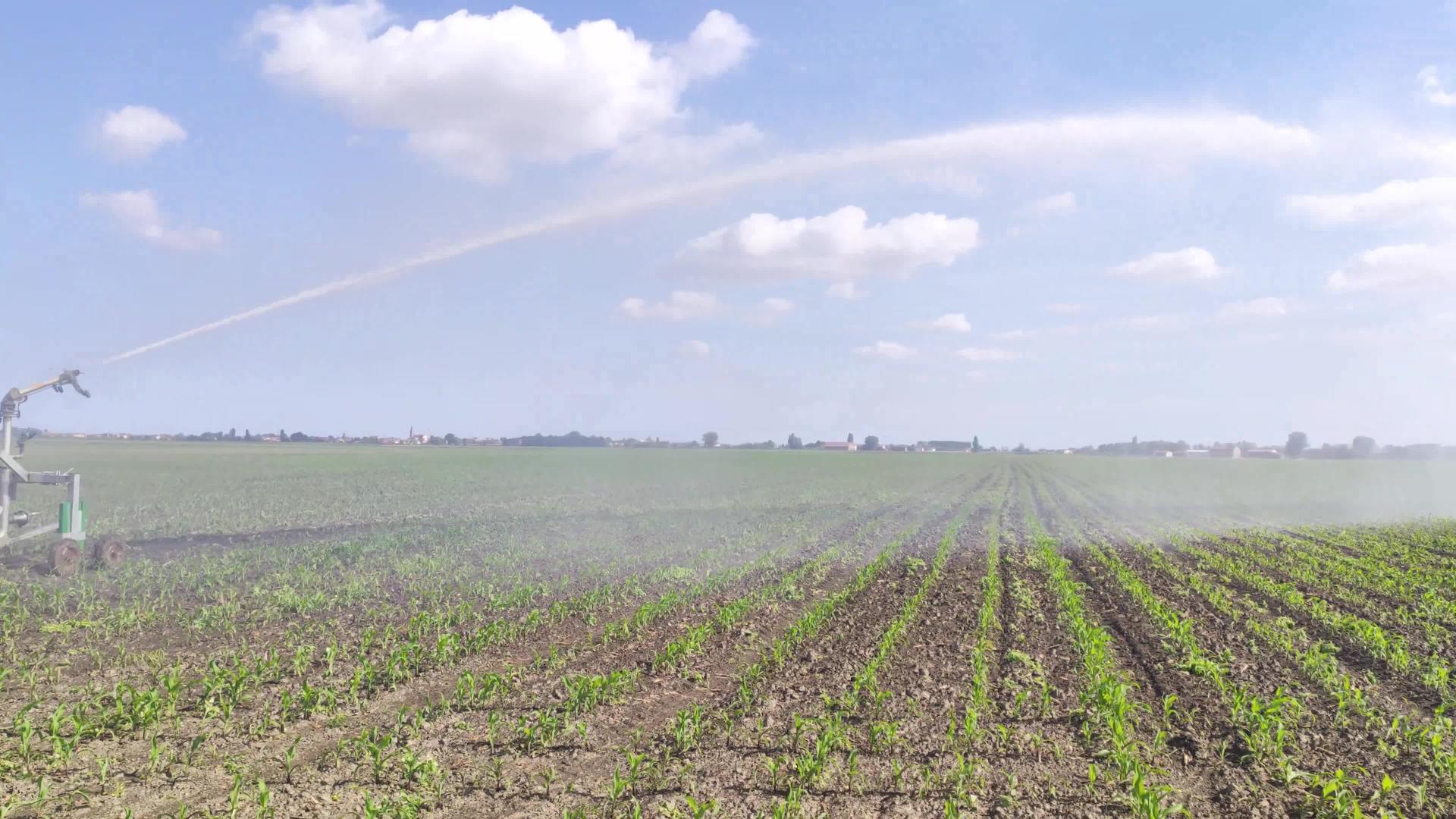 玉米灌溉现场视频的预览图