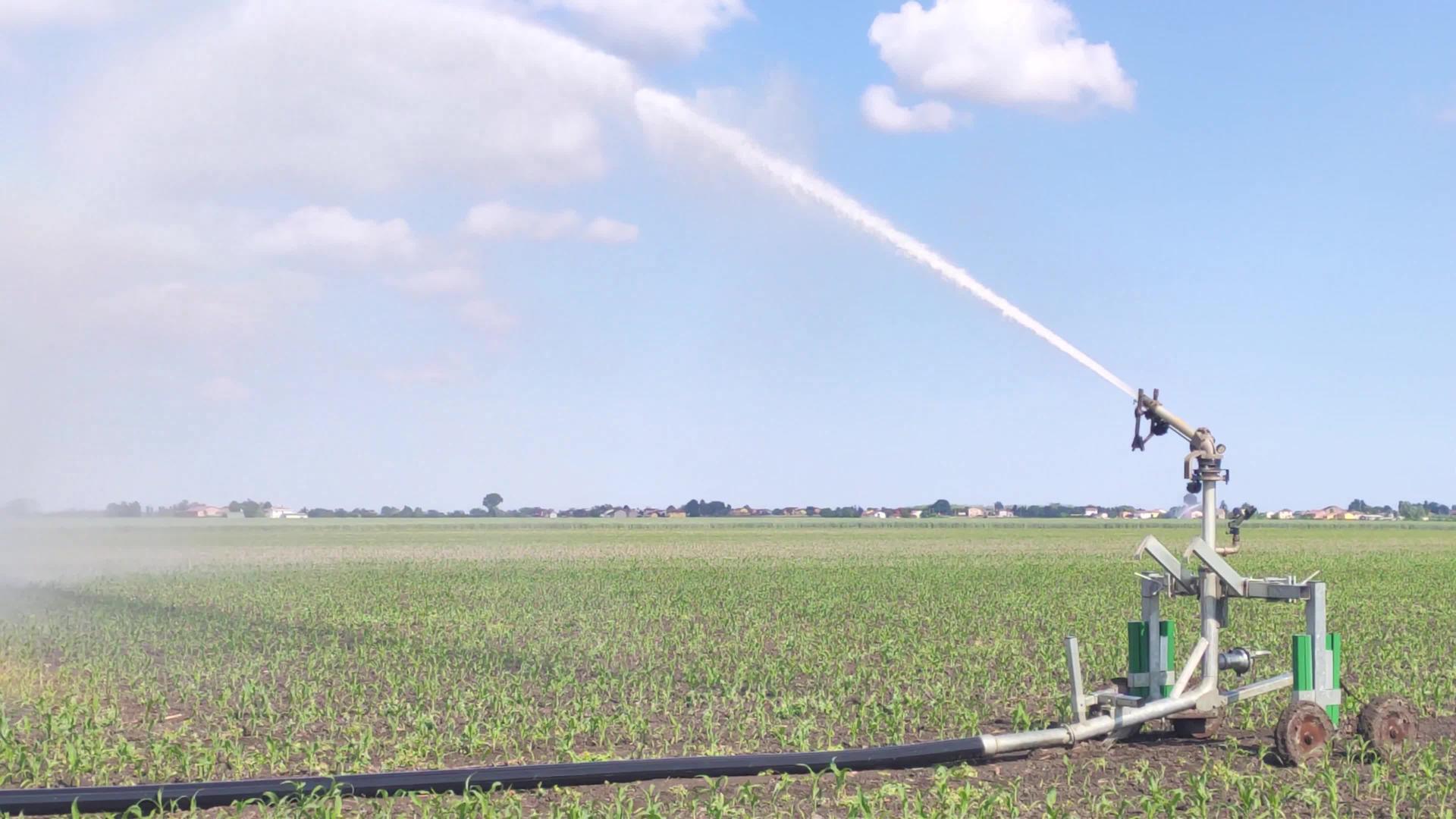 玉米灌溉场2视频的预览图
