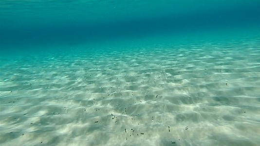 海洋水底潜拍视频的预览图