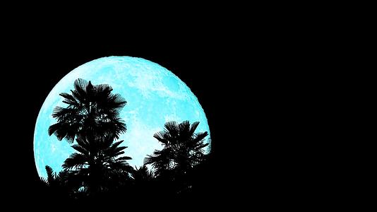 当夜空折叠时超蓝色的月亮向后升起顶部有圆周光的椰子树视频的预览图