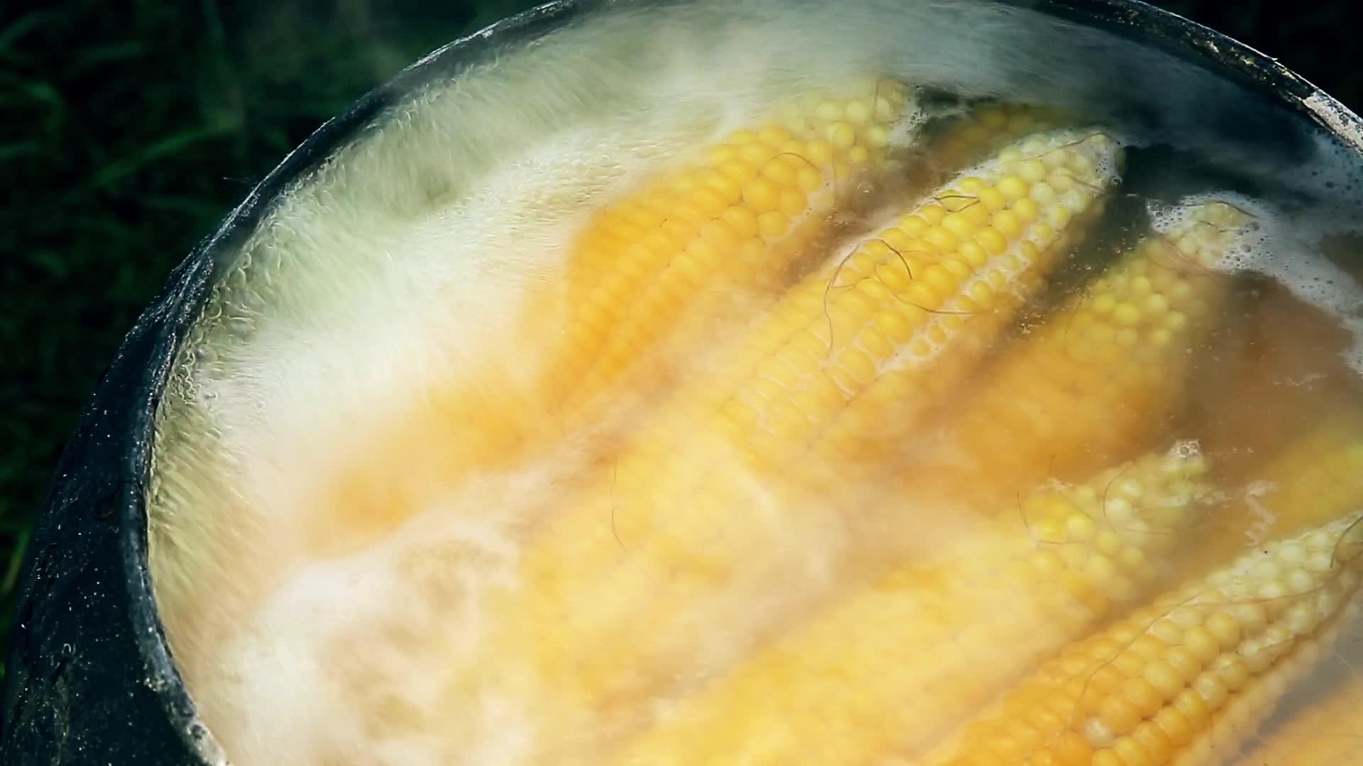 女人用手打开白盖打开水打开玉米视频的预览图