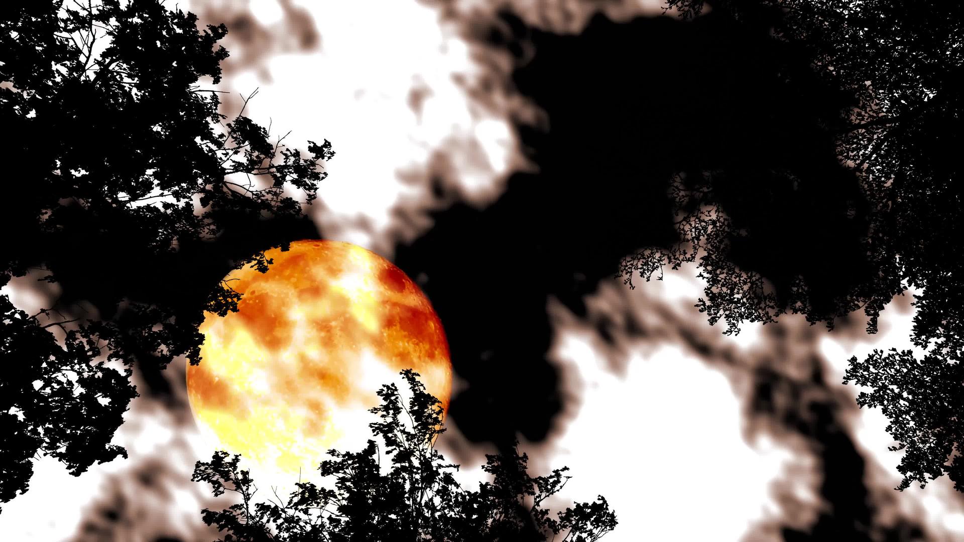 满月的满月在夜空中向后升起圆周光树顶云迅速移动视频的预览图
