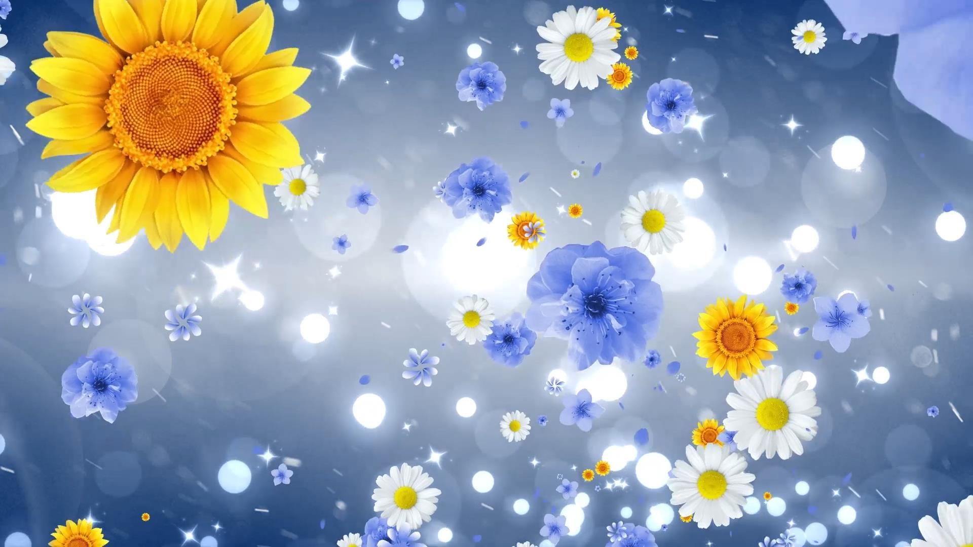 唯美动态粒子花瓣上升光效大气背景视频元素视频的预览图