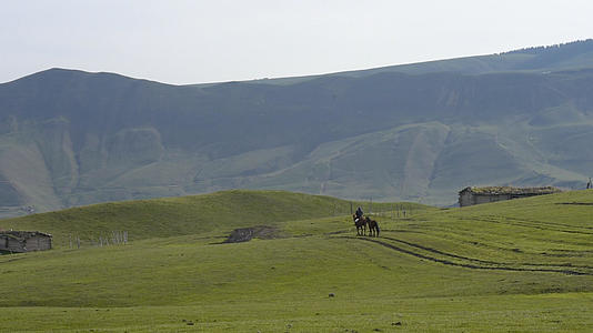 新疆牧场牧民生活马匹骑马视频的预览图