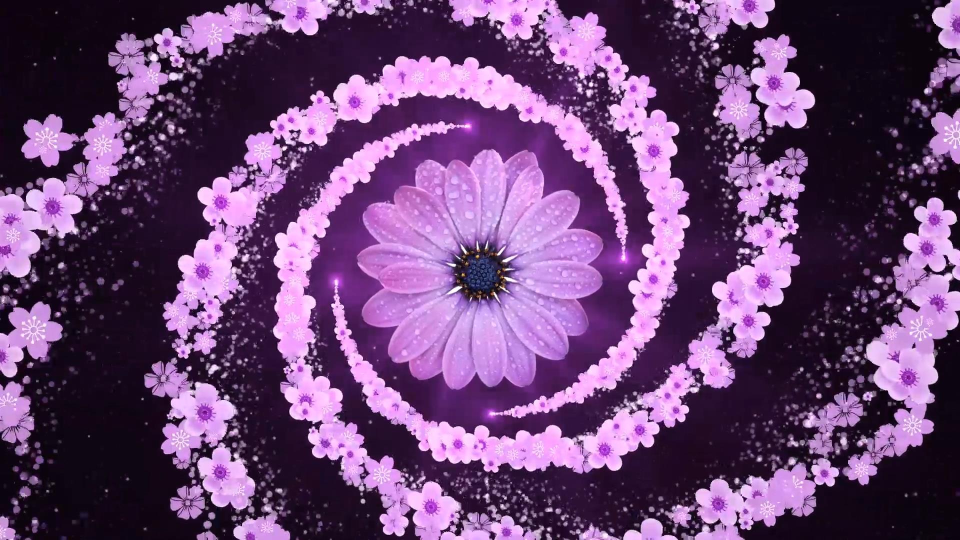 动态大气花朵旋转粒子拖尾背景视频元素视频的预览图