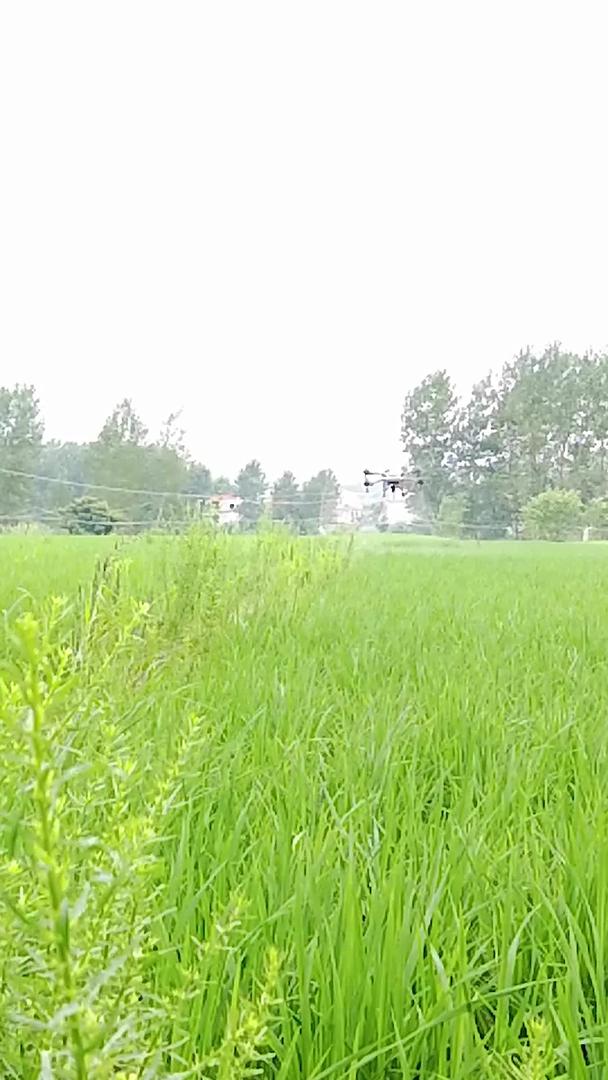 无人驾驶飞机农业管理视频的预览图