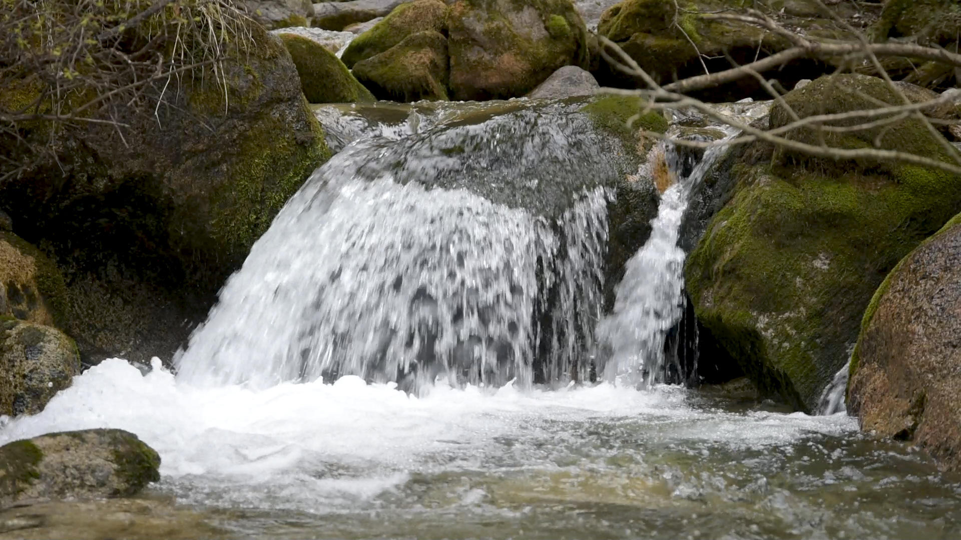 山涧溪流流水水资源森林视频的预览图