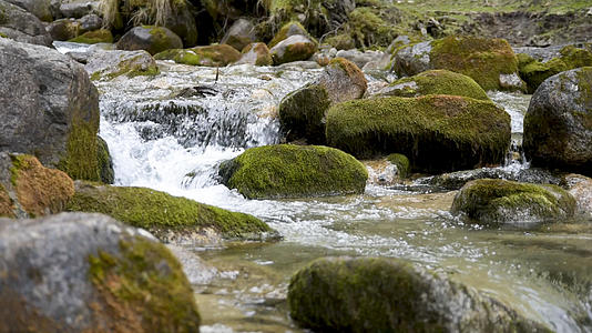 山涧溪流流水水资源森林视频的预览图
