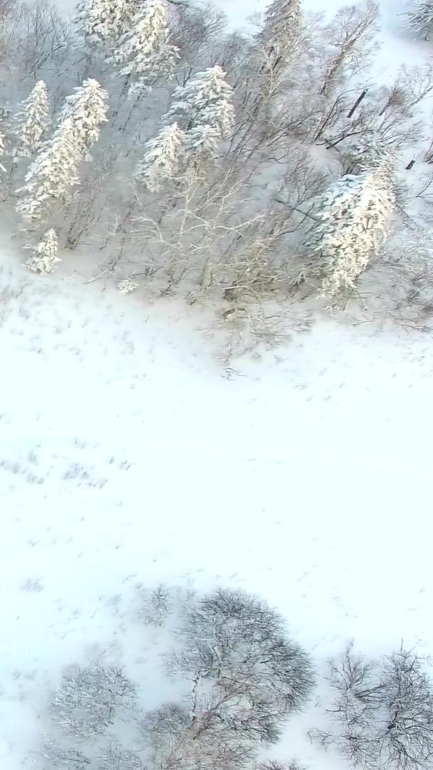 雪地摩托的航拍视频的预览图