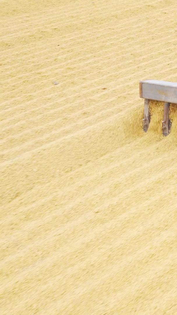 拖拉机钉耙机械农民晒粮丰收秋季封闭道路晾晒视频的预览图
