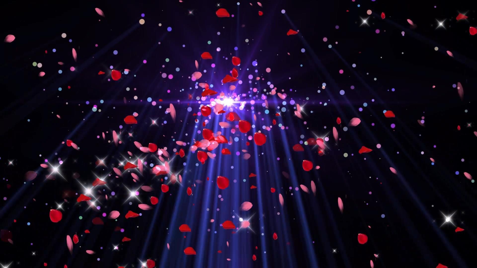 动态唯美粒子花瓣光效旋转背景视频元素视频的预览图