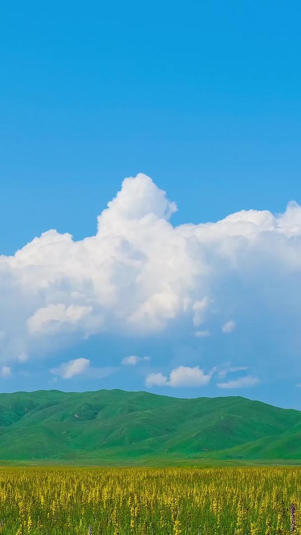 蓝天白云延迟花海山脉视频的预览图
