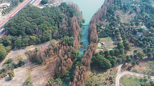 淀山湖周边绿化视频的预览图