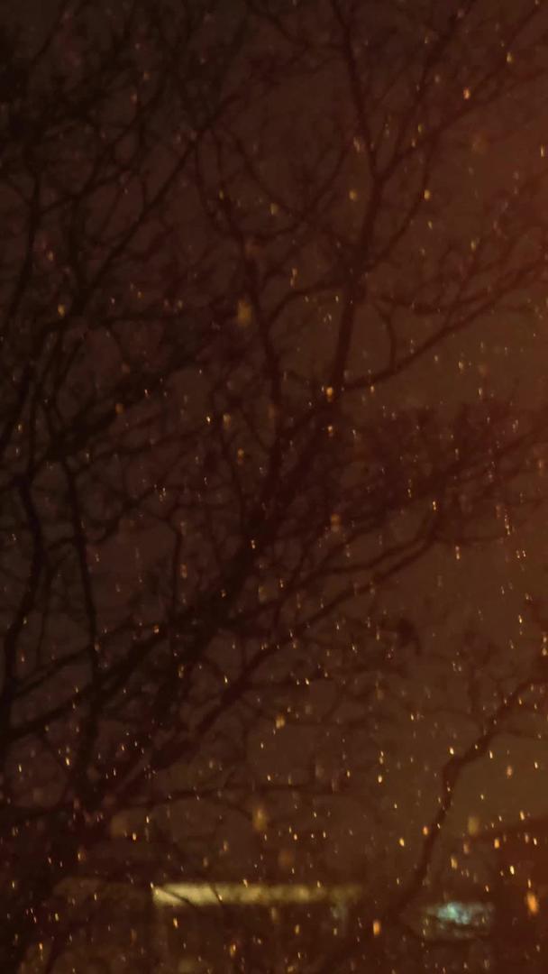 冬夜路灯下飘落的雪花视频的预览图