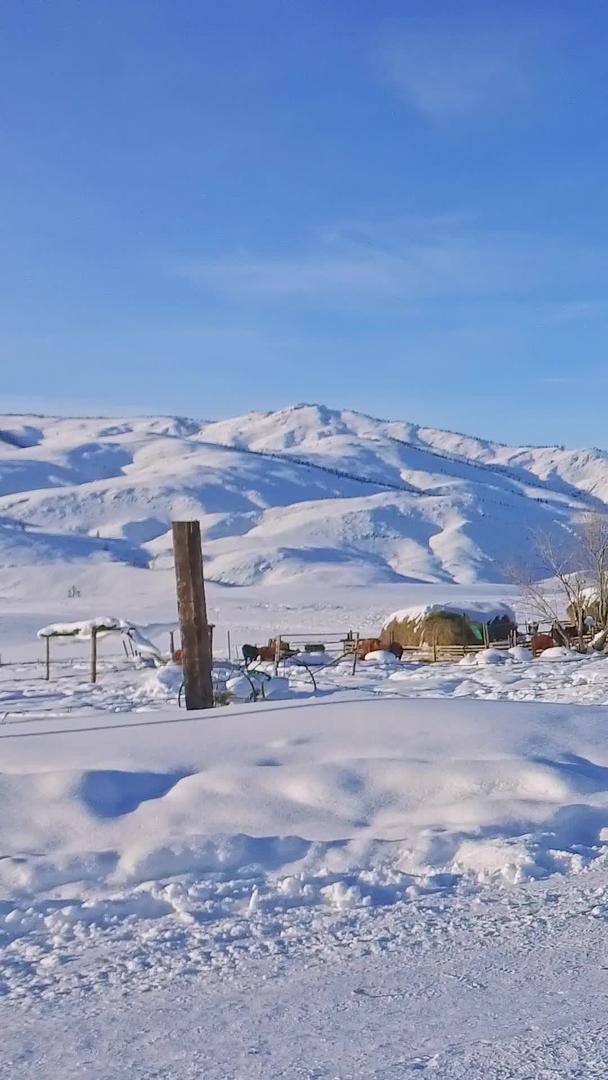 新疆禾木村冬雪下的长镜头视频的预览图