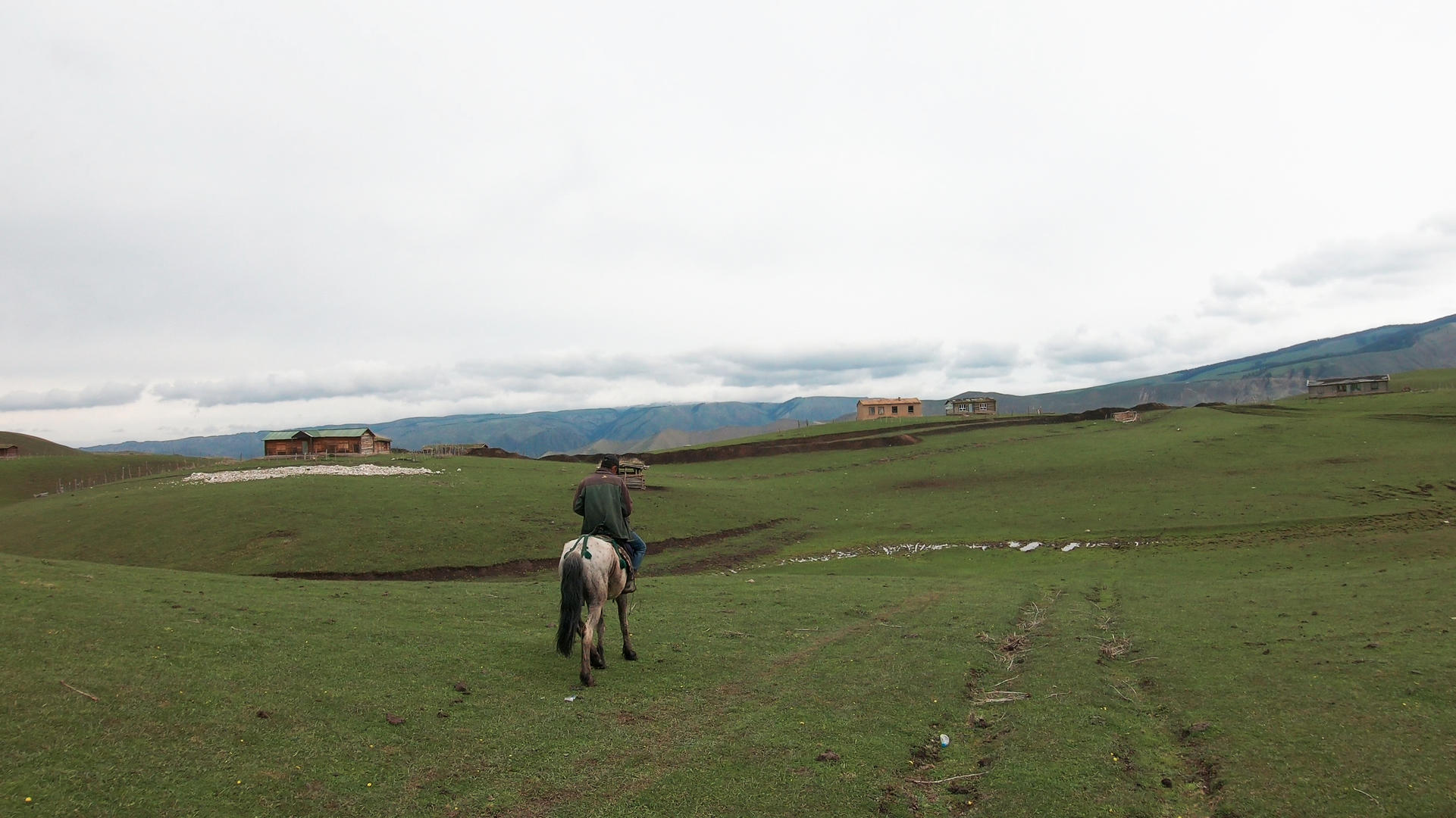新疆天山牧场牧民骑马生活牲畜马匹视频的预览图