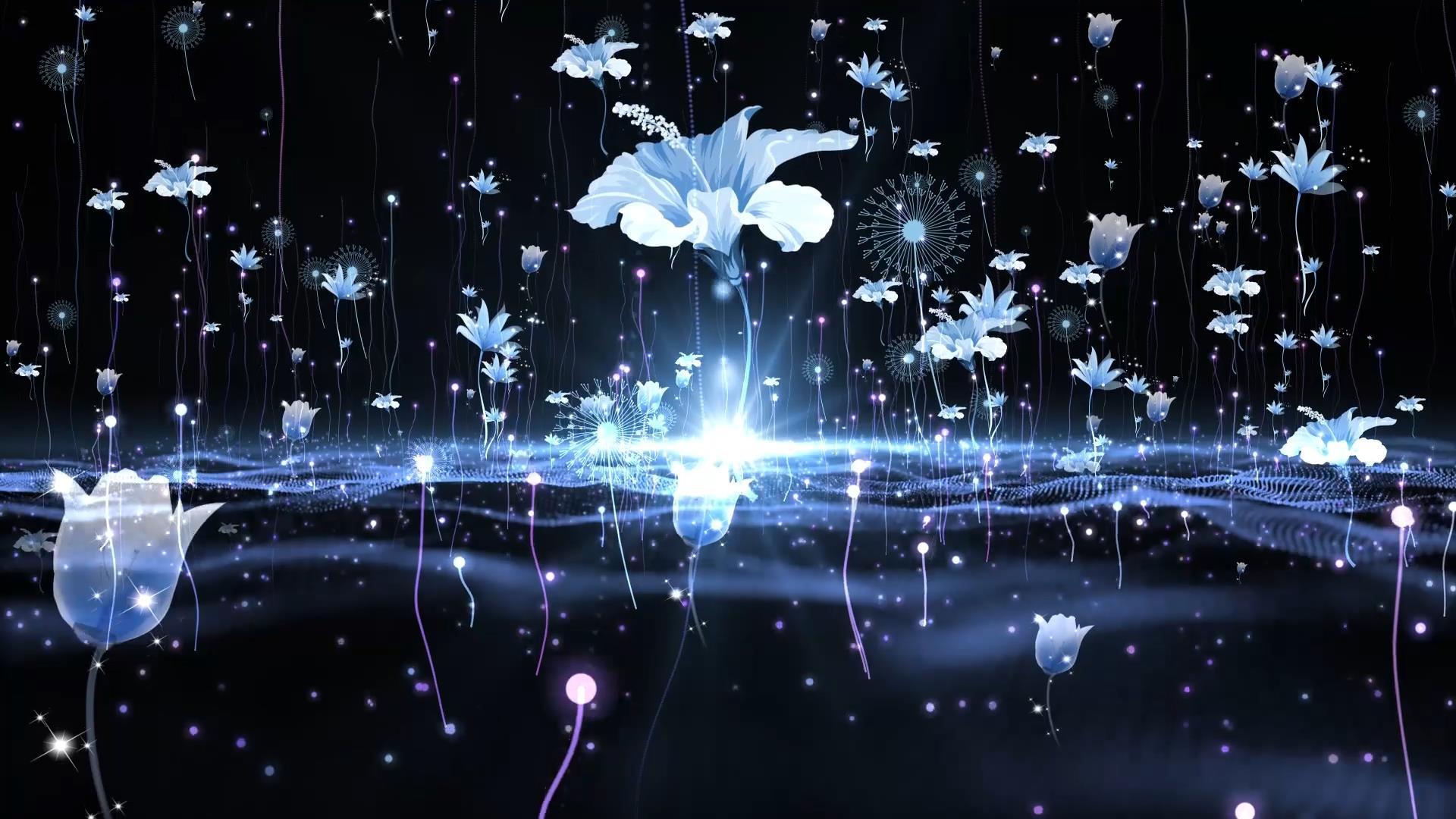 动态大气唯美粒子花朵上升背景视频元素视频的预览图