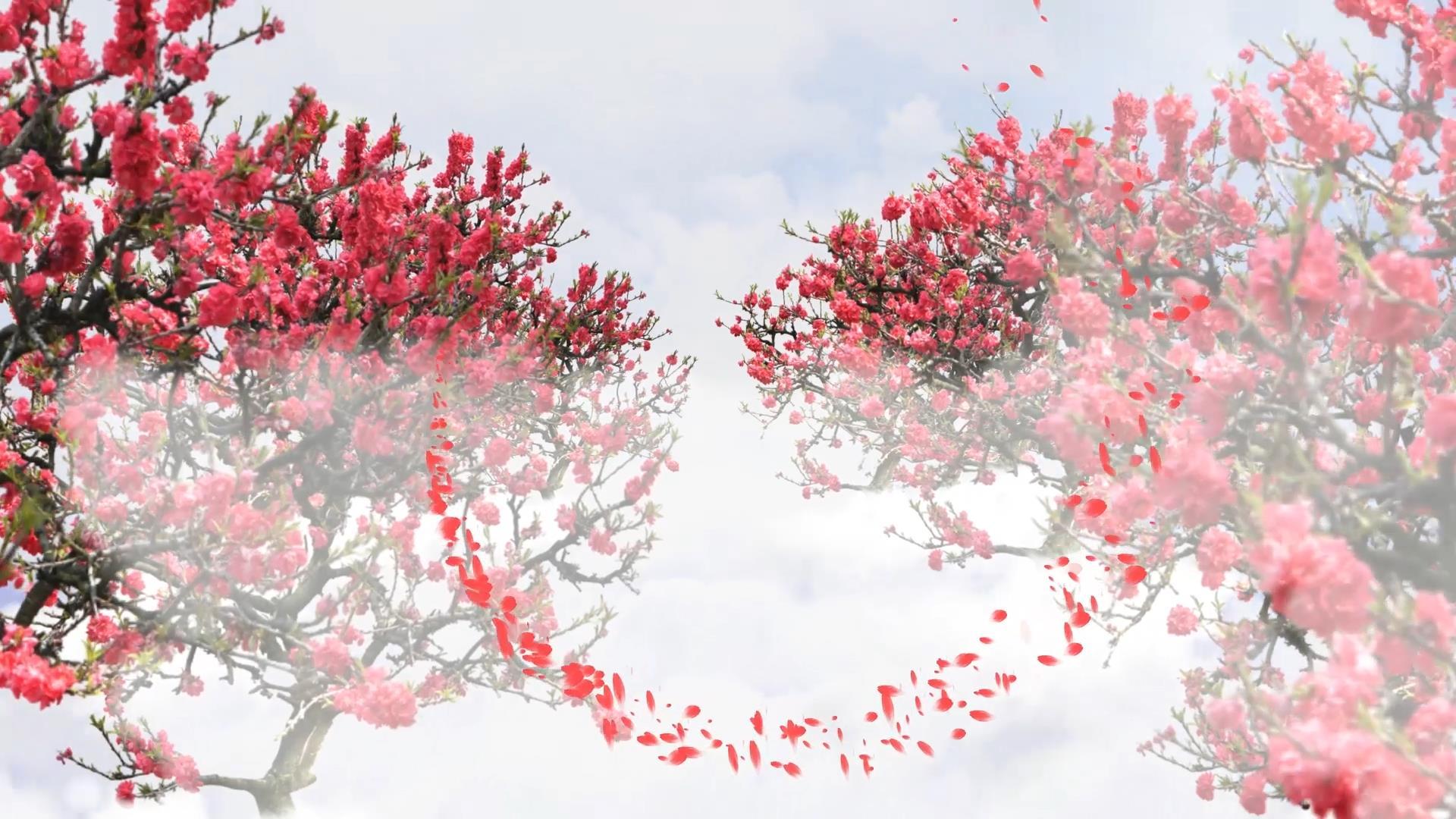 唯美大气桃树桃花动态云雾穿梭背景视频元素视频的预览图