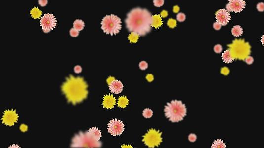 秋菊下落飘落元素视频的预览图