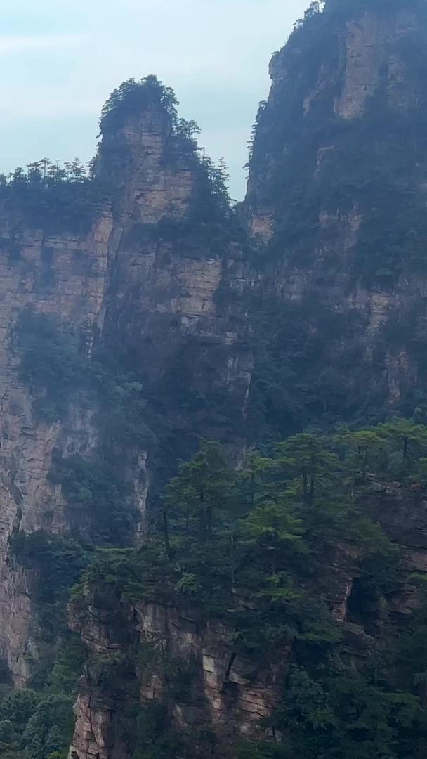 湖南5A级旅游景区张家界杨家溪游客缆车风景素材视频的预览图