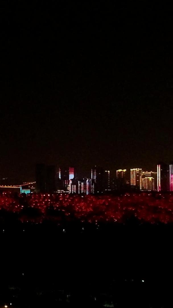 武汉城市灯光秀视频视频的预览图
