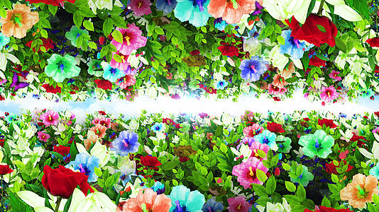 4K唯美的鲜花穿梭背景素材视频的预览图