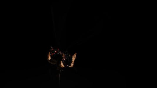 燃烧的棉花被吹灭视频的预览图