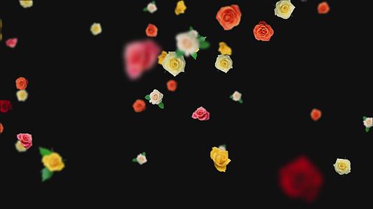 多彩玫瑰下落飘落元素视频的预览图