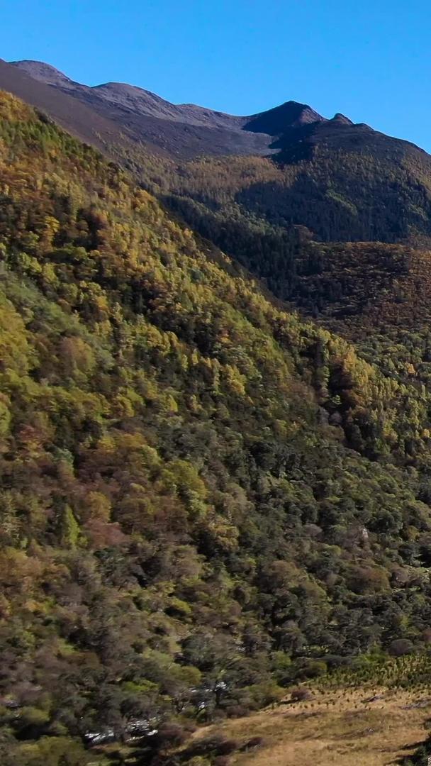 川西蜀山山谷秋风景视频视频的预览图