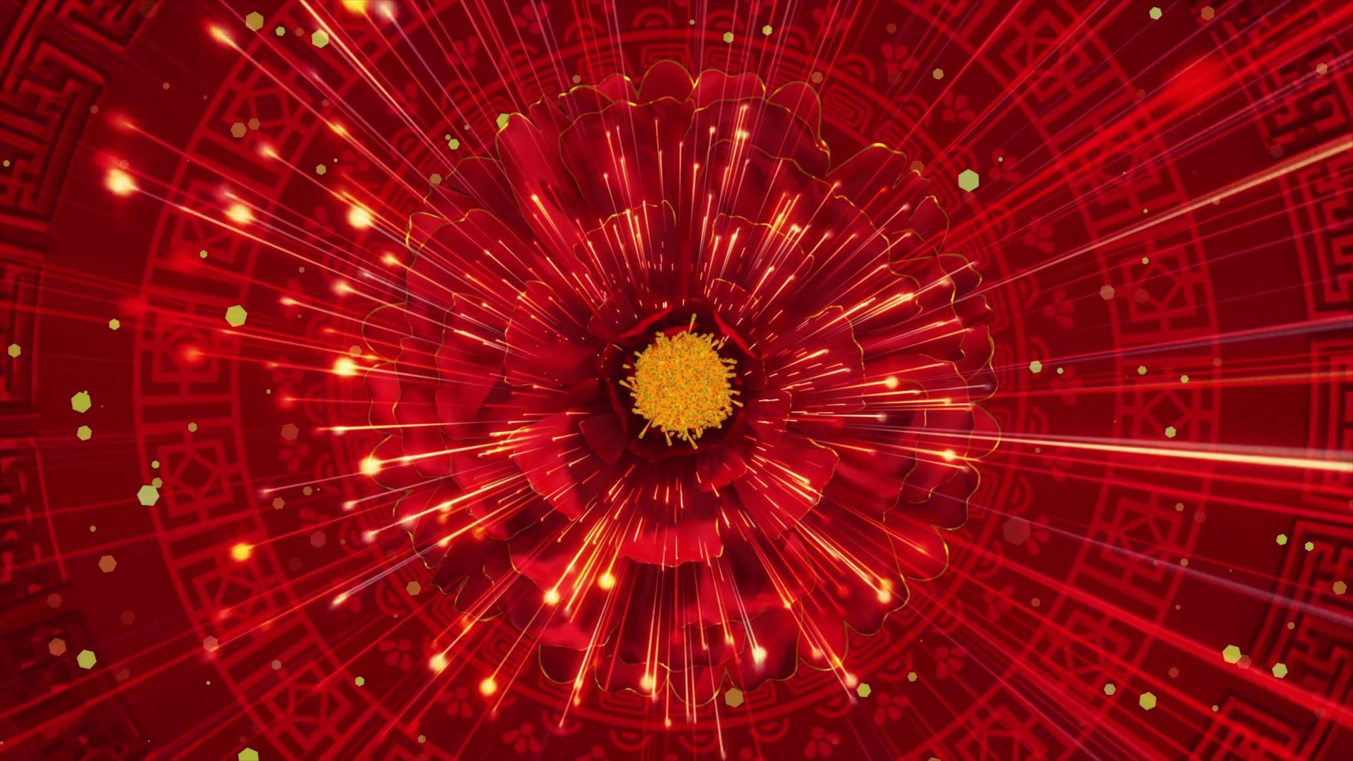 牡丹花背景循环4K视频的预览图