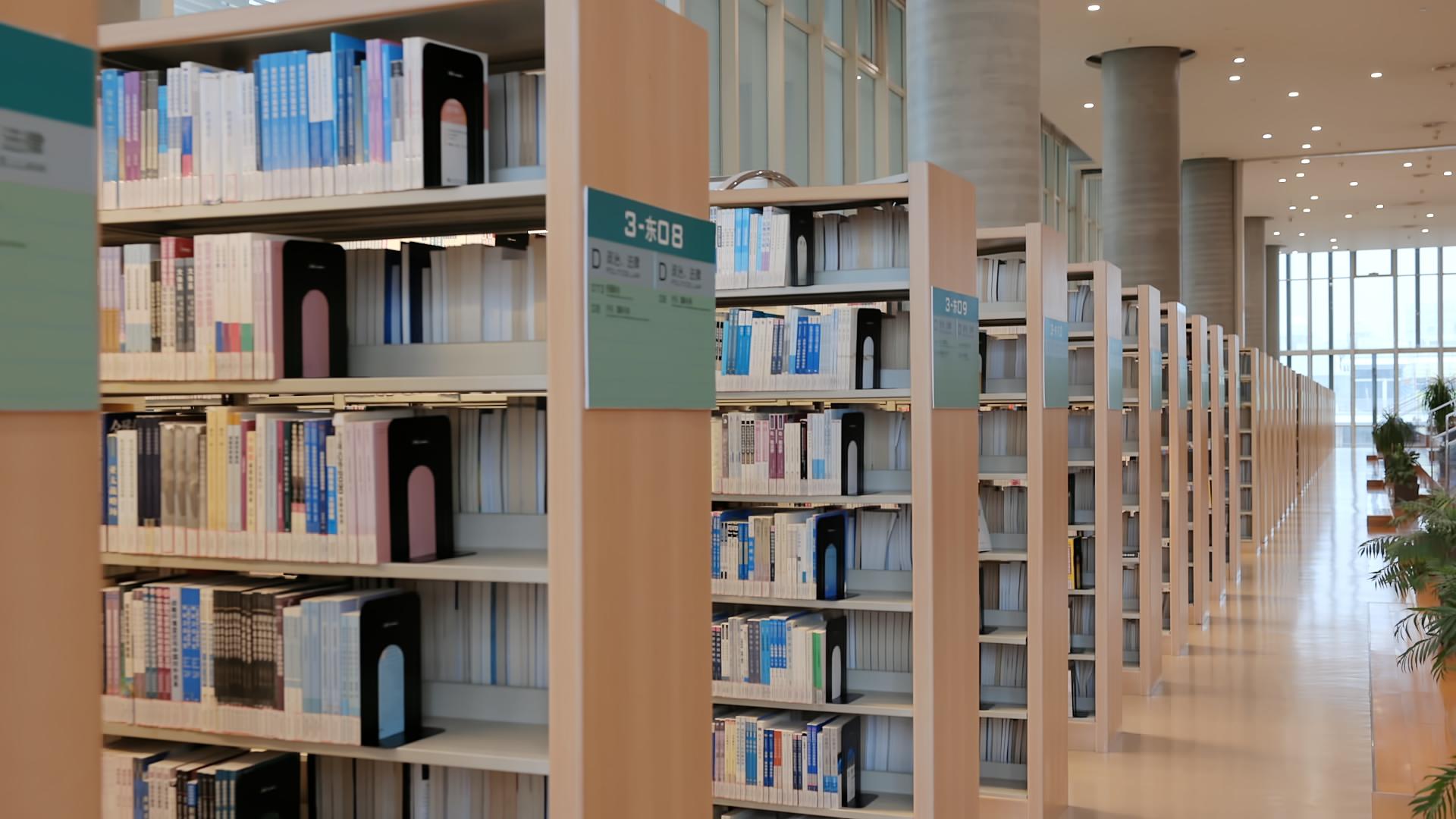 图书馆中的空镜视频的预览图