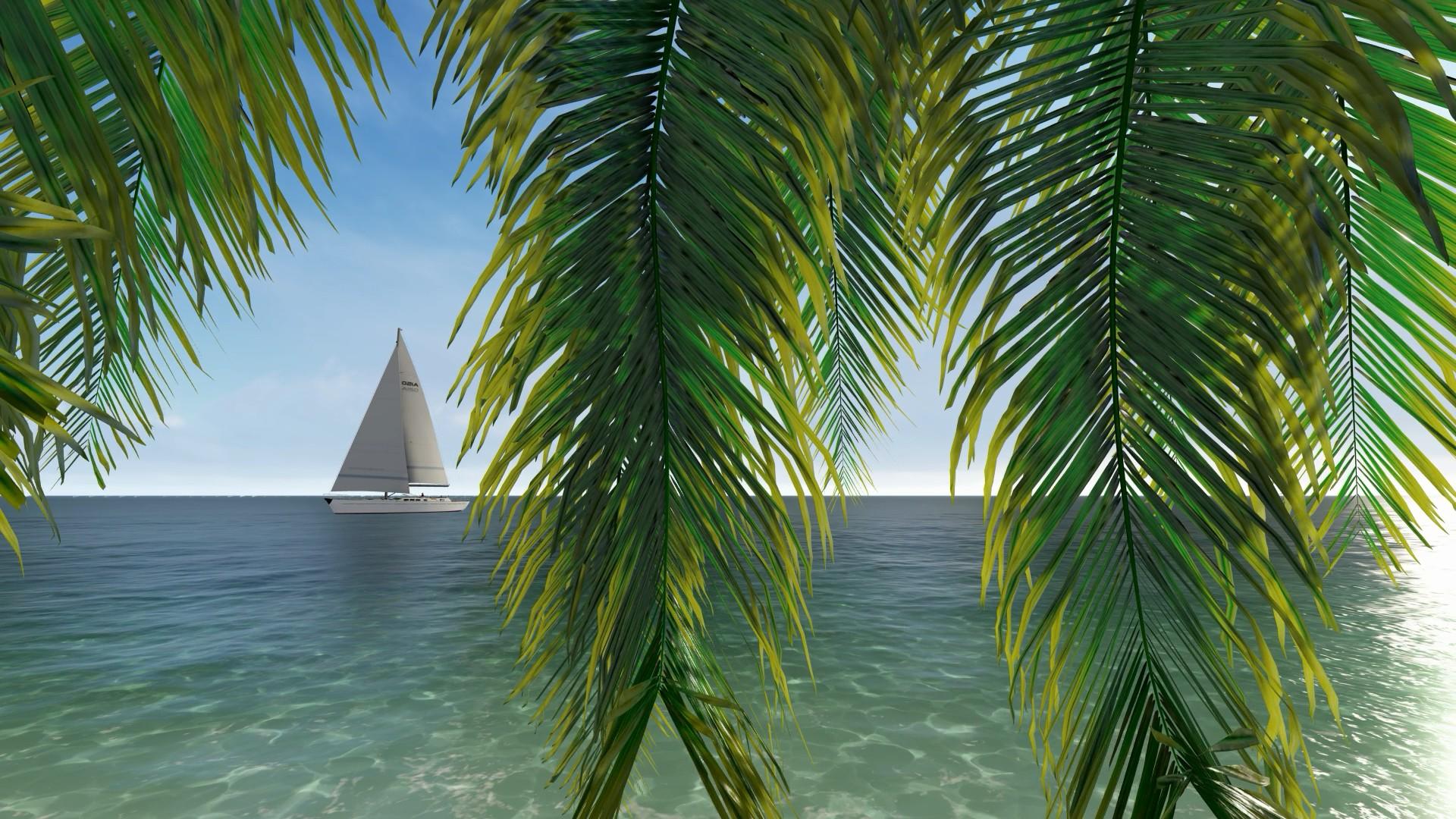 唯美椰子树船帆大海视频的预览图