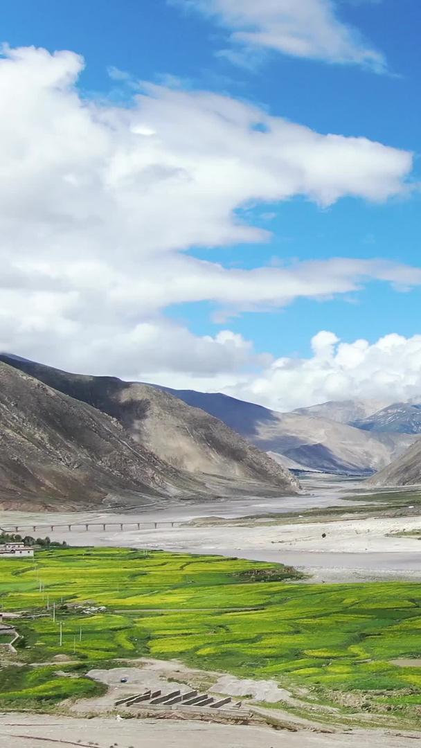 西藏雅鲁藏布河畔油菜花田航拍视频视频的预览图