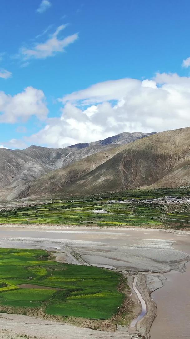 西藏雅鲁藏布河畔油菜花田航拍视频视频的预览图