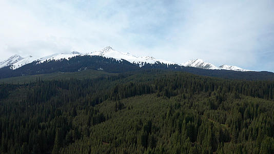 松林森林雪山航拍视频的预览图