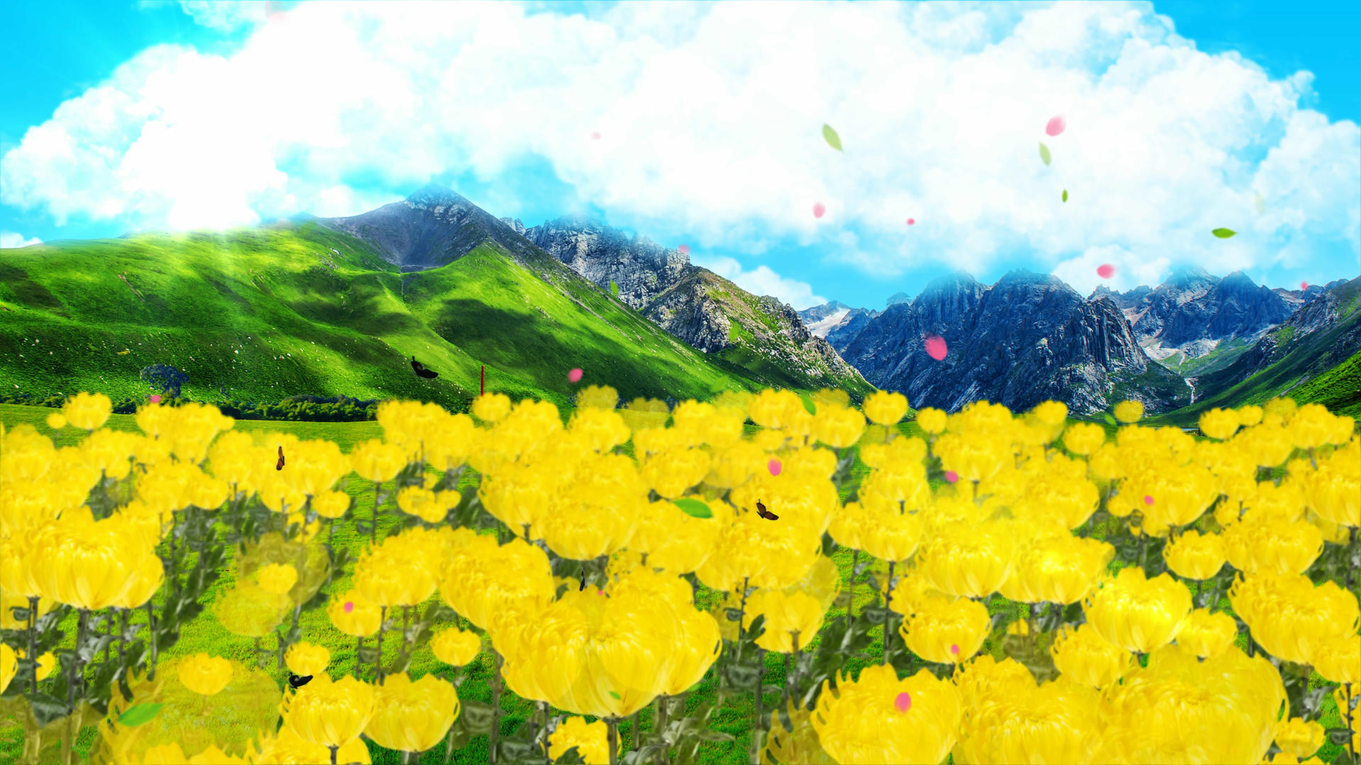 4K野菊花动画背景素材视频的预览图