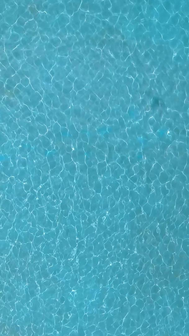 游泳池游泳航拍视频的预览图