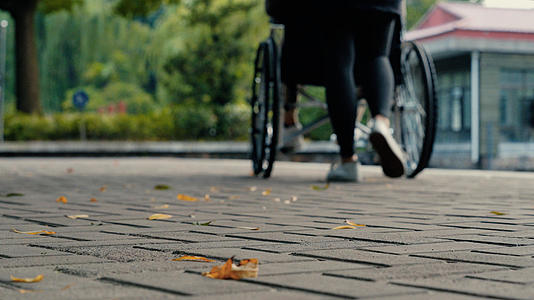 推行轮椅背影视频的预览图
