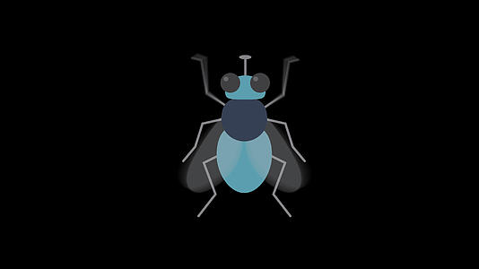 MG飞行昆虫视频的预览图