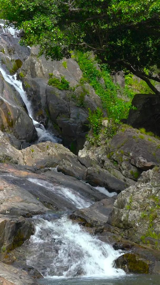 森林环绕中瀑布流水集中声音视频的预览图