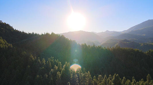 4K航拍井冈山森林日出阳光大自然清晨视频的预览图