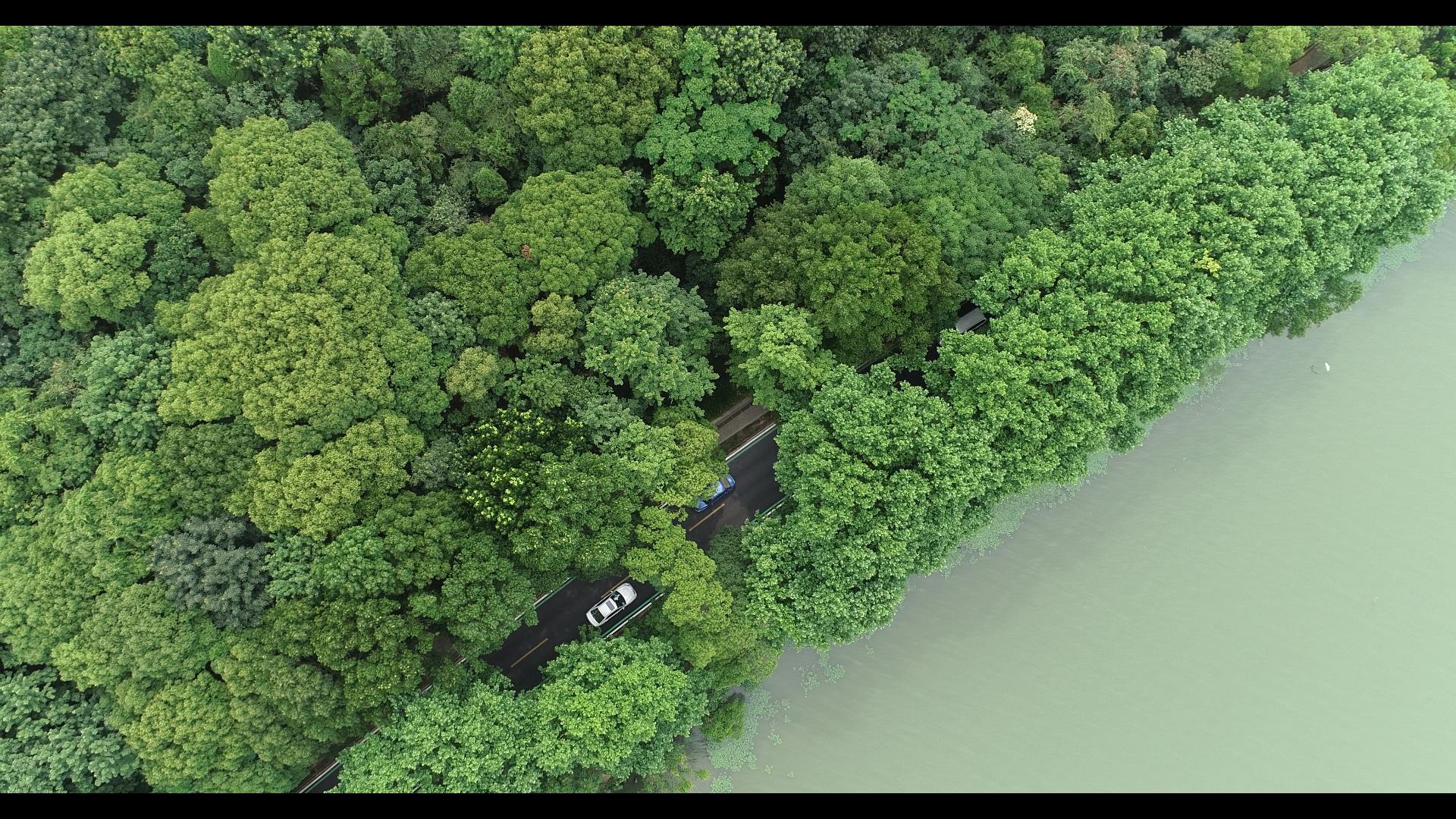 4K航拍蠡湖公路视频的预览图