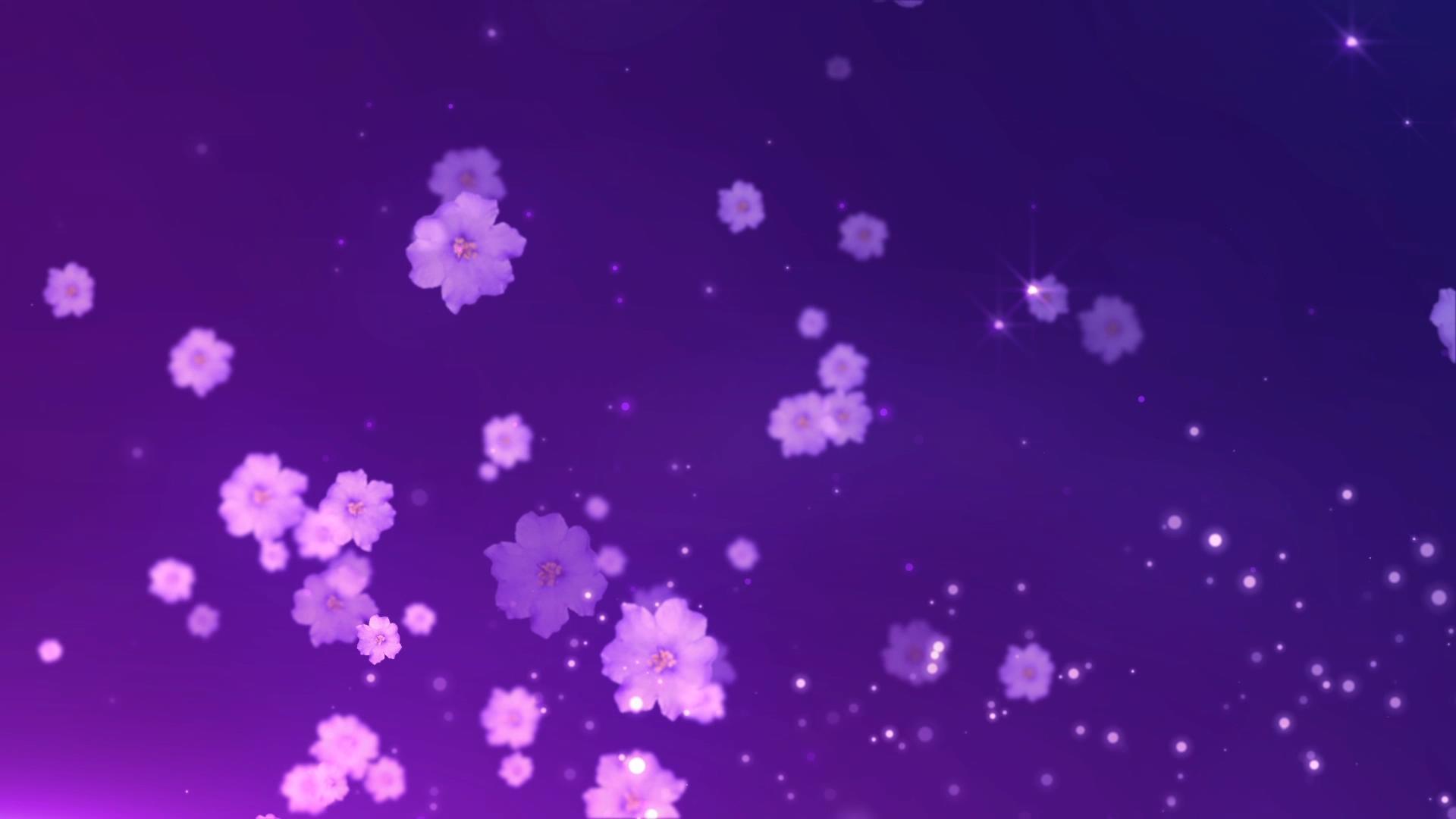浪漫唯美花朵飘动背景视频的预览图