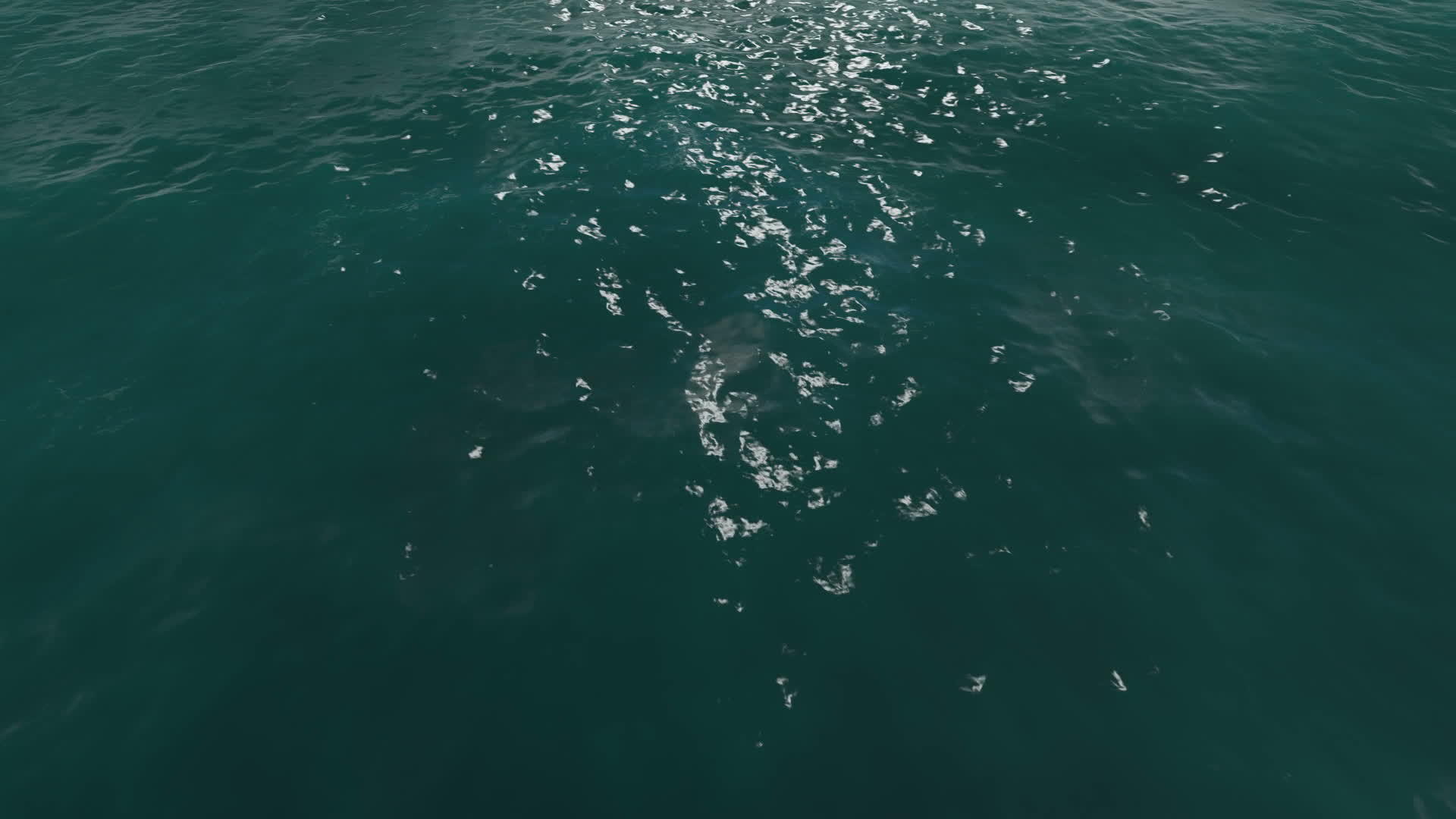 3D海洋水面视频的预览图