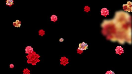 红花飘落动画视频的预览图