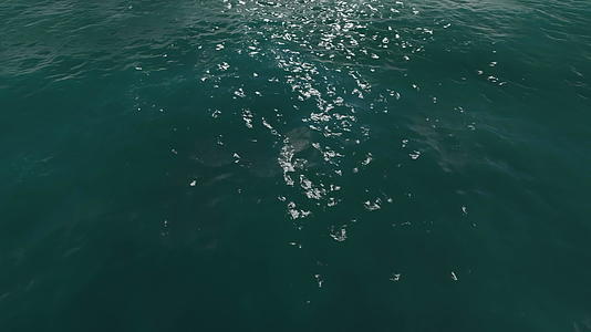 飞越海洋水面视频的预览图