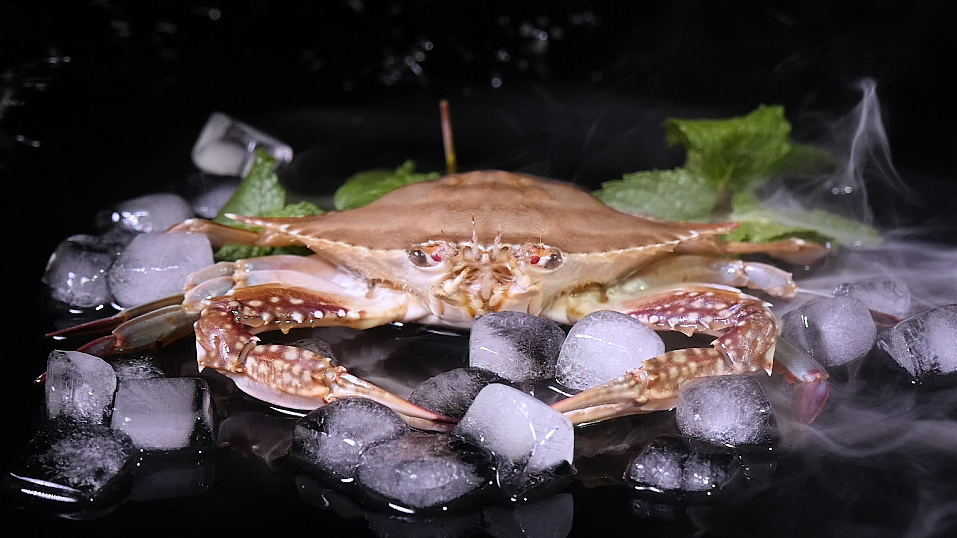4k冰梭子蟹视频的预览图