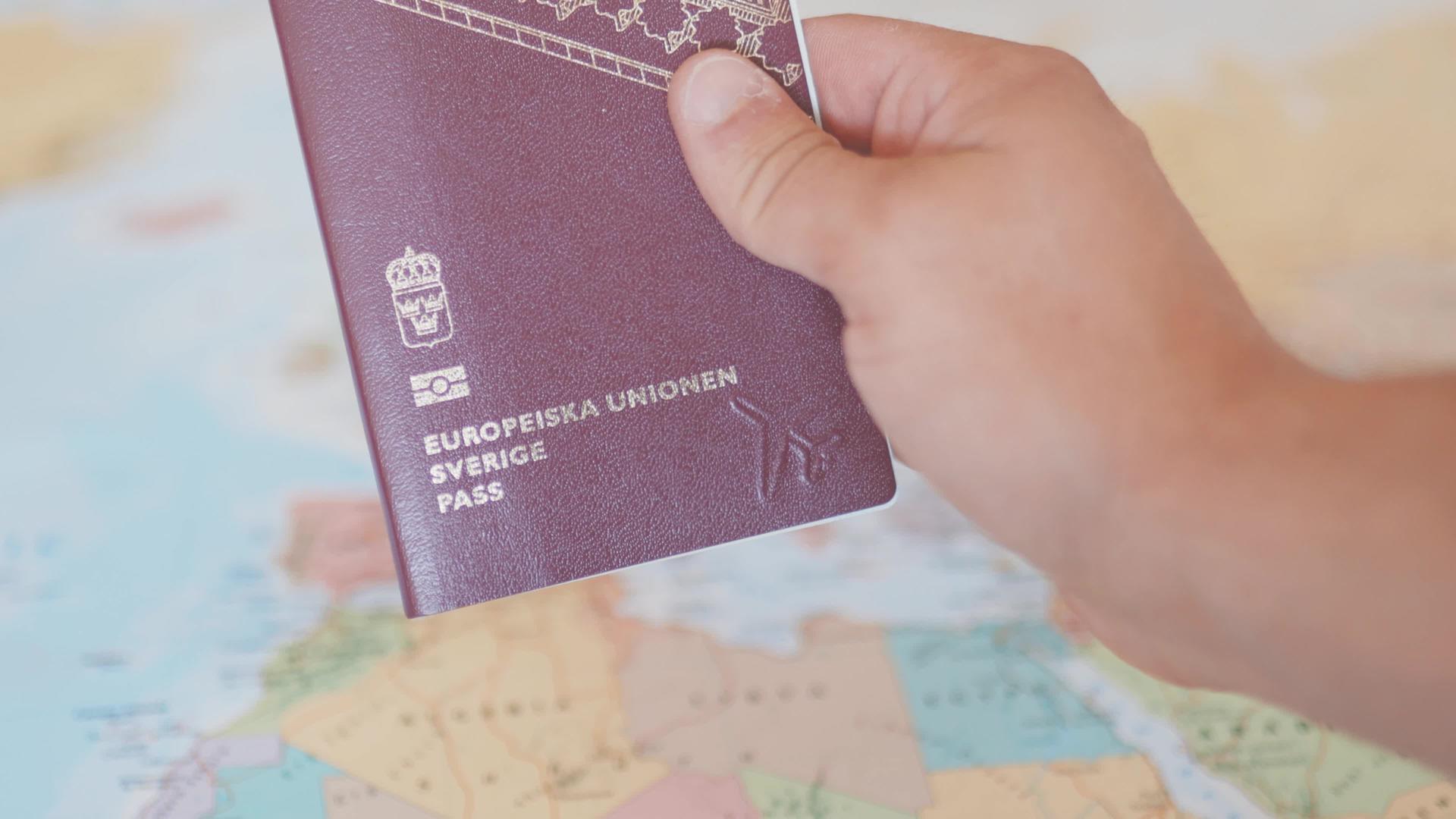 斯威登旅游护照视频的预览图