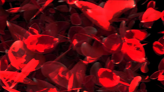 4K玫瑰花转场动画元素带透明度视频的预览图
