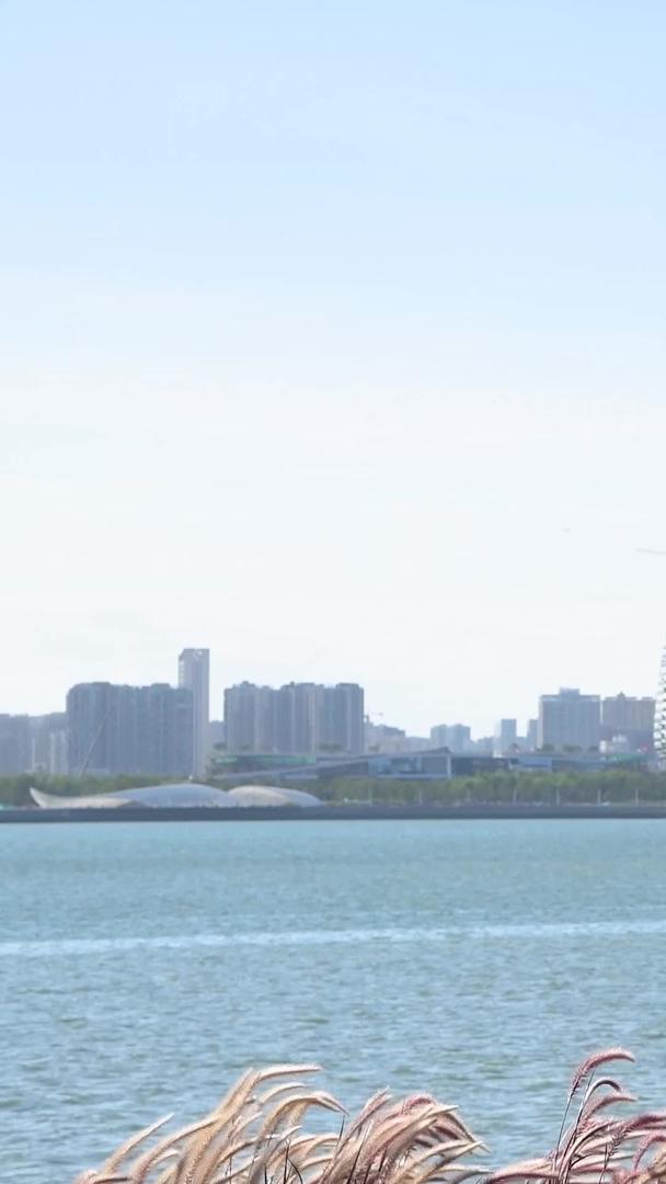 深圳前海海边公园视频的预览图